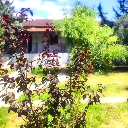 Vergia Country house Sozopoli