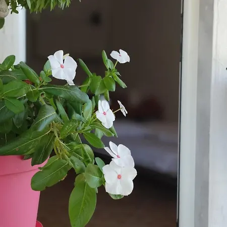 Country house Vergia *